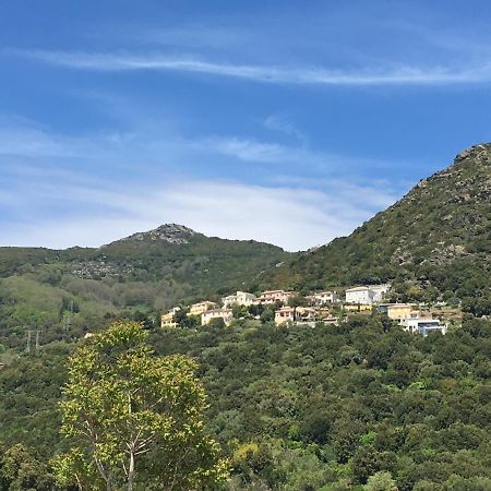Charmant T2 Hauteurs De Bastia Bastia  Buitenkant foto