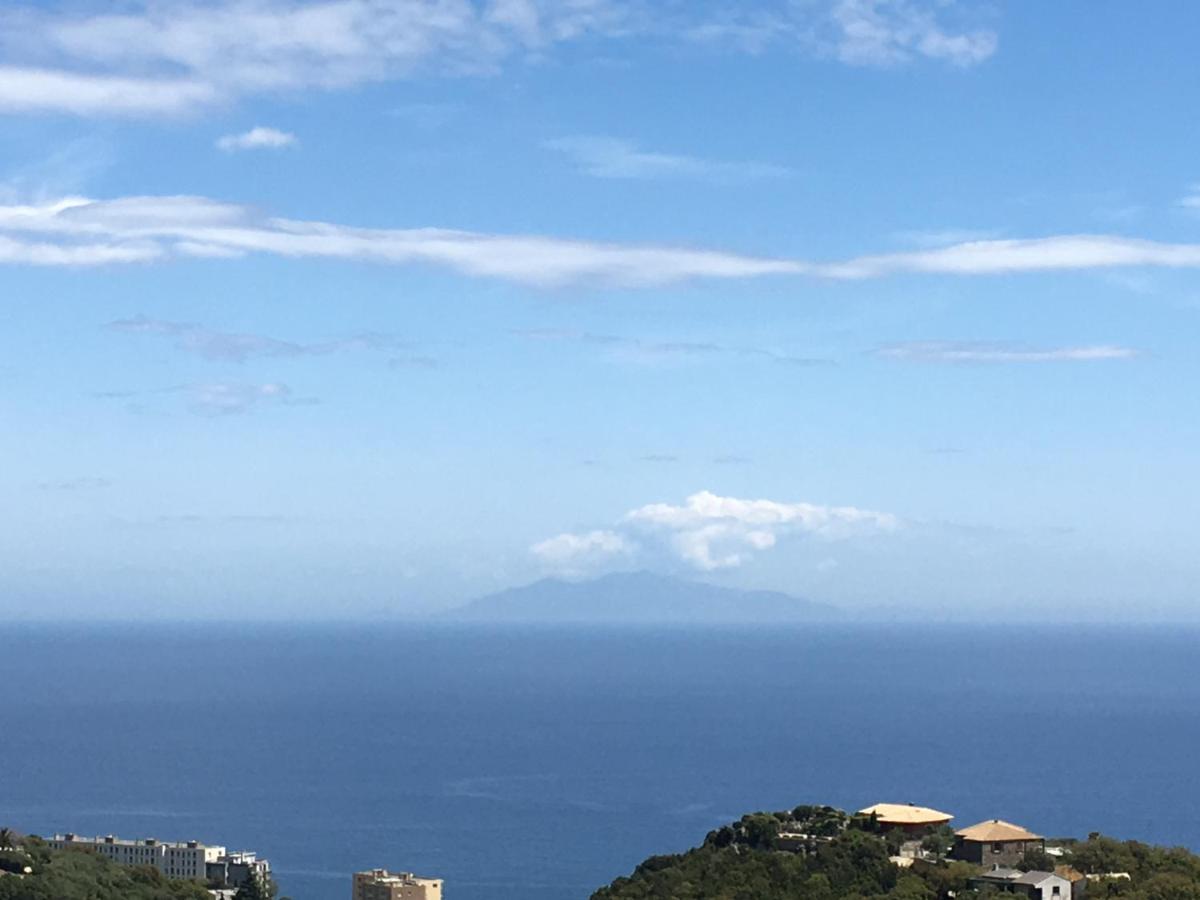Charmant T2 Hauteurs De Bastia Bastia  Buitenkant foto